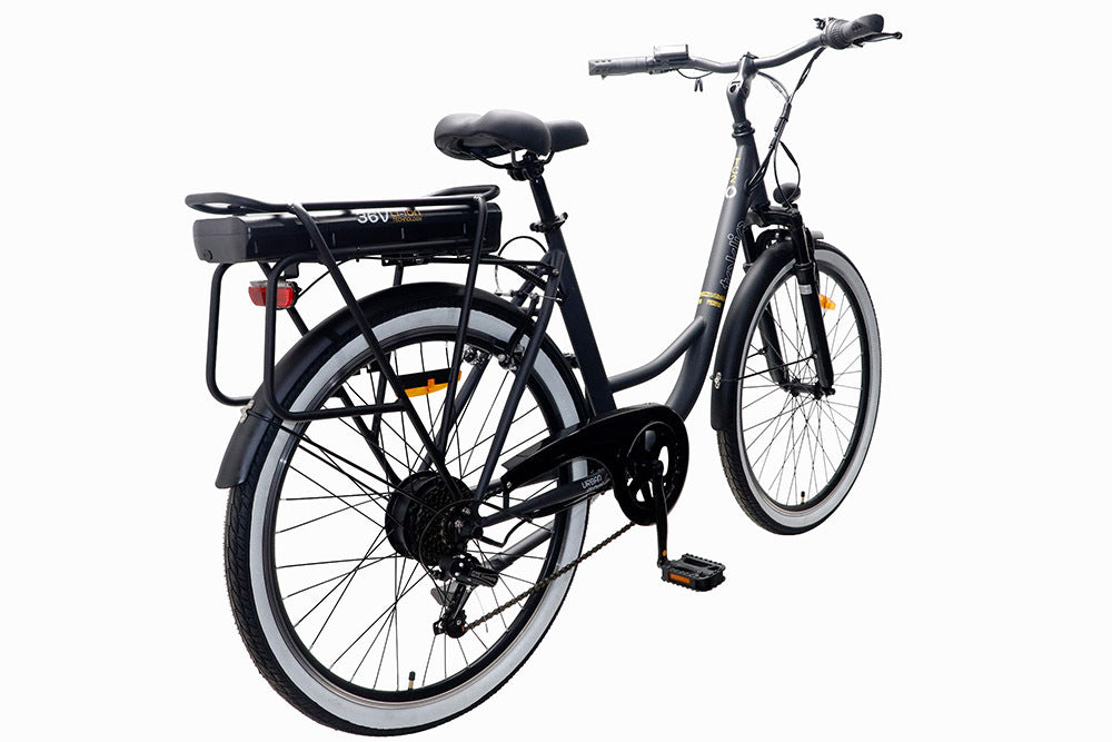 TEKLIO – Bici Elettrica 26" Acciaio Inox